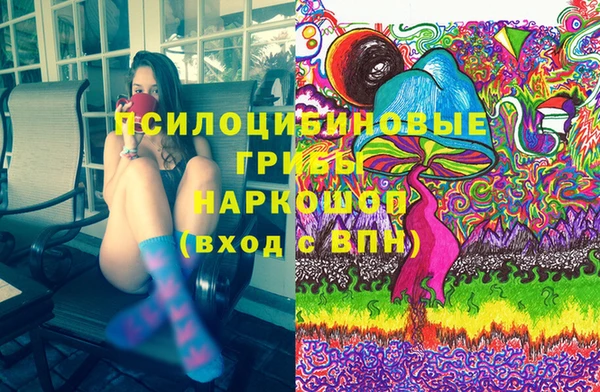 молекула духа Майский