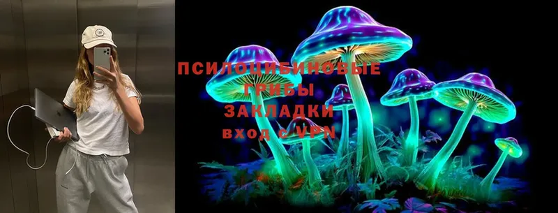 Галлюциногенные грибы Psilocybine cubensis  где можно купить   Любим 